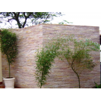 PEDRA CANJIQUINHA